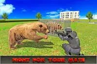 Wild Angry Bear Simulator Screen Shot 10