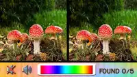 Find Difference mushroom Screen Shot 1