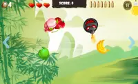 Fruit Panda Shoot Screen Shot 3