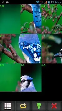 Birds Puzzle Screen Shot 0