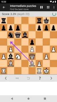 Chess Tactics Pro (Puzzles) Screen Shot 2