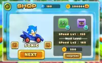 Hedgehog racing car Screen Shot 1