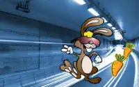 Bunny Subway Run Screen Shot 3