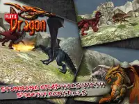 Play A Dragon Screen Shot 3