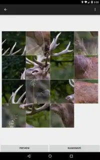 Deer Games for Kids Free Screen Shot 17