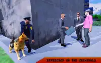 Spy Dogg: Police Dog Bomb Defusal Mission Screen Shot 8