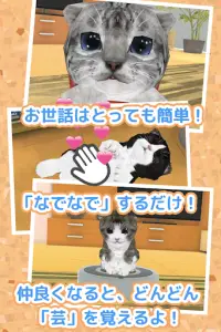 ねこ育成ゲーム - 完全無料！子猫をのんびり育てるアプリ！かわいいねこゲーム！ Screen Shot 3