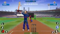 Bat & Ball: Play Cricket Games Screen Shot 4