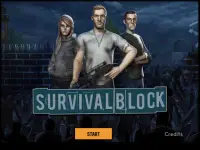 Survival Block Screen Shot 11