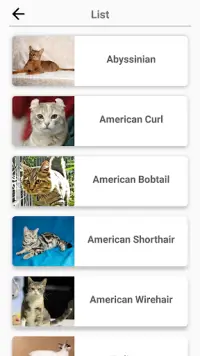 Cat Breeds Quiz - Game about C Screen Shot 4