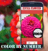 Zinnia Flowers Color By Number-Pixel Art 2020 Screen Shot 0