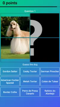 Dog Quiz: Guess the Breed — Game, Pictures, Test Screen Shot 5