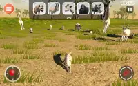 하이에나 게임 3D - 사파리 동물 시뮬레이터 Screen Shot 9