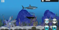 Dolphin Dash Screen Shot 5