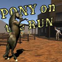 Pony on the Run