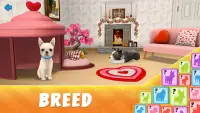 Dog Town: Puppy Pet Shop Games Screen Shot 4