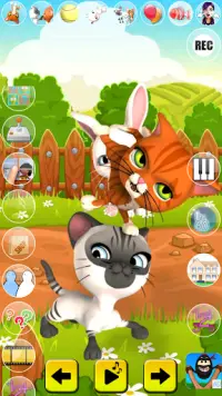 Talking Cat and Bunny Screen Shot 1