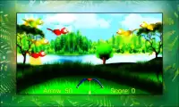 Bird Archery Screen Shot 0