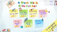 A Week With Slim Cricket -Free Screen Shot 7