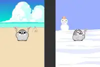 Pesoguin SAKURA DANCE -Penguin Screen Shot 2