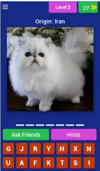 Cat Breed Quiz Game (Cat Game) Screen Shot 2