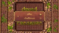 Druid Treasure Screen Shot 0