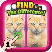 Find the difference games : Photo compare