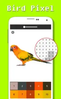 Bird Color By Number - Pixel Art Screen Shot 0
