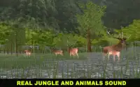VR Wild Sniper Deer Hunting 2017. Screen Shot 1