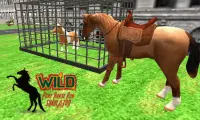 Wild Pony Horse Run Simulator Screen Shot 1