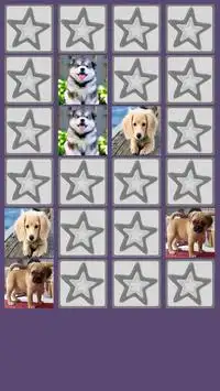Cães Match Game Screen Shot 2