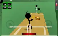 Smash and Slog Cricket Screen Shot 10