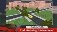 BRTS Simulator Screen Shot 3