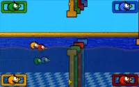Fish Race Game Screen Shot 2
