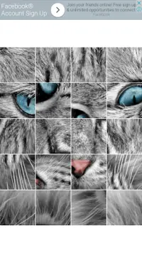 Cat Puzzles Screen Shot 0