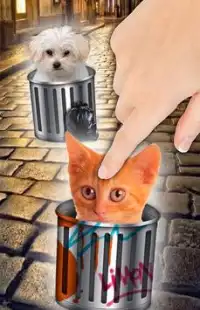 Hello gattini - gatti gioco Screen Shot 3