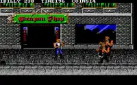 Double Dragon 3 Screen Shot 3