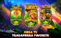 Tragamonedas Rey Jaguar: Juegos de Casino Gratis Screen Shot 12