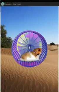 Hamster In a Wheel Desert Screen Shot 3