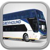 Bus Greyhound