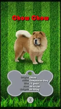 Pals Dogs Go! 2k18 Pocket Puppy Pets Screen Shot 2