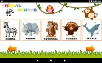 Sons de Animais - Animais para Crianças Screen Shot 15