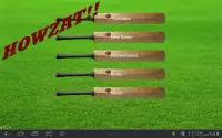 Howzat Cricket 2D Screen Shot 0
