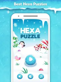 Hexa Puzzle HD - Hexagon Match Game of Color Block Screen Shot 7