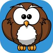 Owl Memory Game