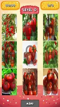 Tomatoes Jigsaw Puzzles Screen Shot 1