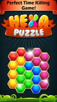 Block Hexa Puzzle 2021 Screen Shot 0