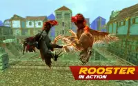 Rooster Wild Fighting Screen Shot 2