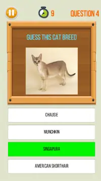 Amazing Kitty Cat Trivia Screen Shot 3