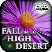 Hidden Scenes High Desert Fall